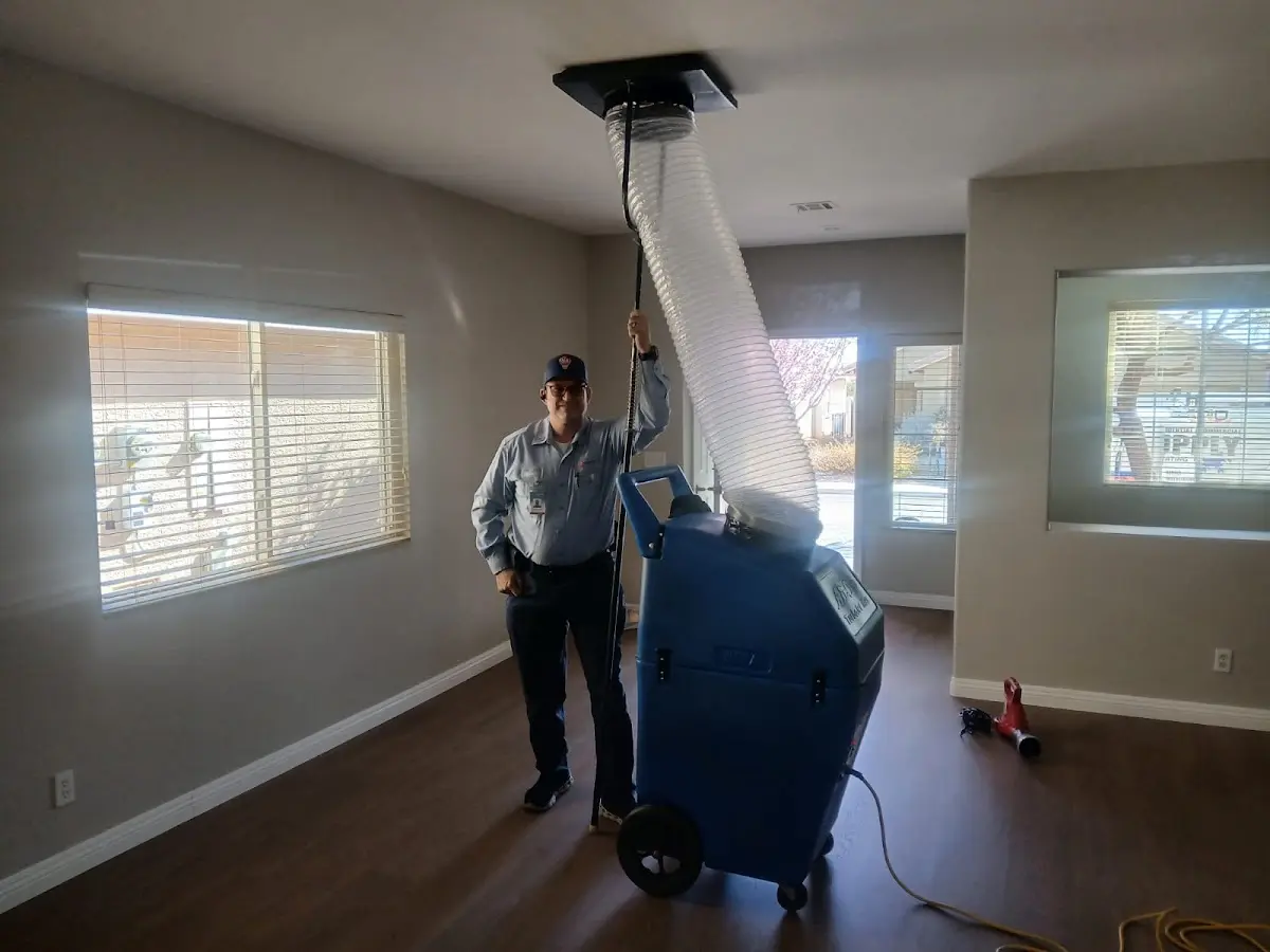 Professional Dryer Vent Cleaning work inside a Wolfforth home
